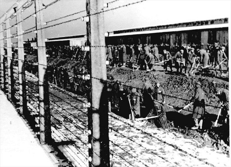 Auschwitz - Birkenau I II III - Auschwitz II-Birkenau. Prisoners laboring. SS photograph.jpg