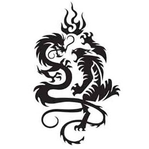 Tatuaż - wzory oraz zdjecia - Shaolin Tattoo Dragon  Tiger.jpg
