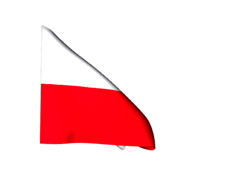 2-Maja - Poland240animatedflaggifs.gif