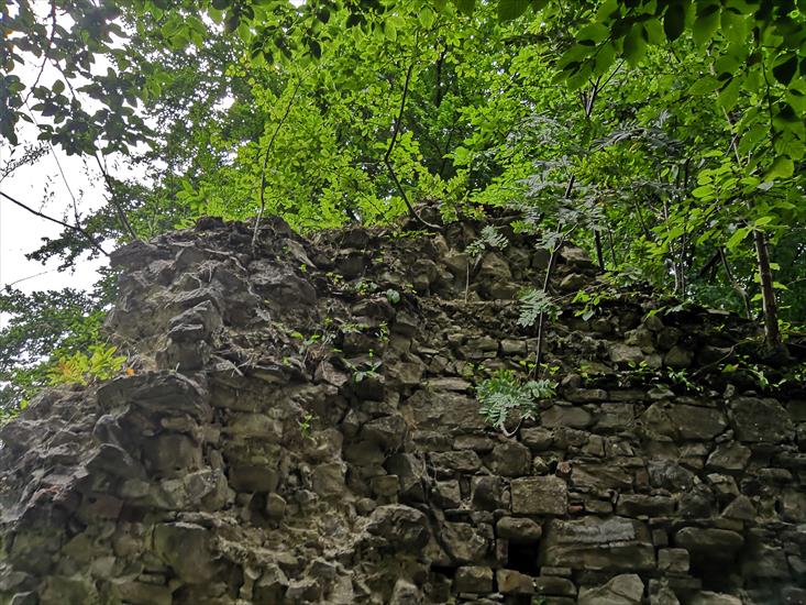  ruiny zamku Sobień - b.jpg